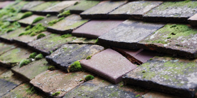 Honeyburge roof repair costs